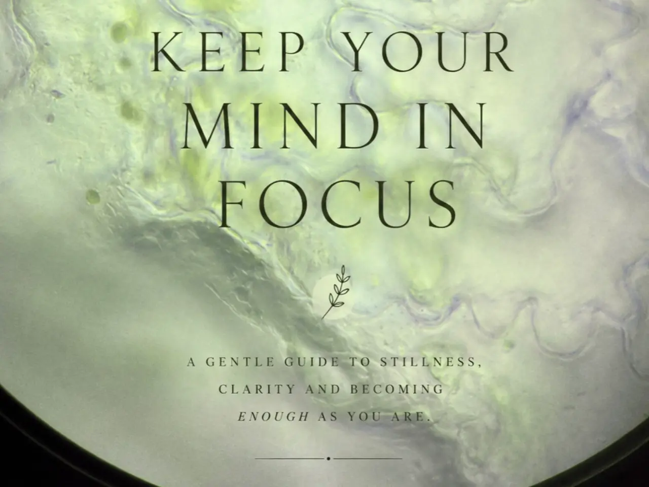 Billede 1 - Keep your mind in focus