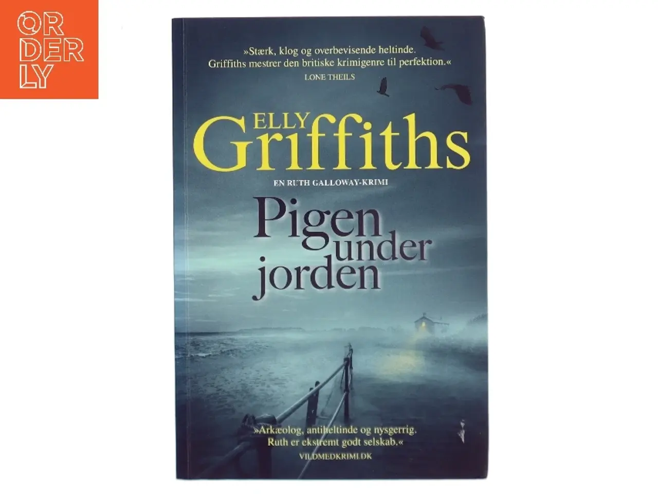 Billede 1 - Pigen under jorden af Elly Griffiths (Bog)