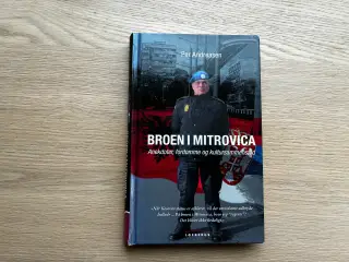 Broen i Mitrovica  af Per Andersen