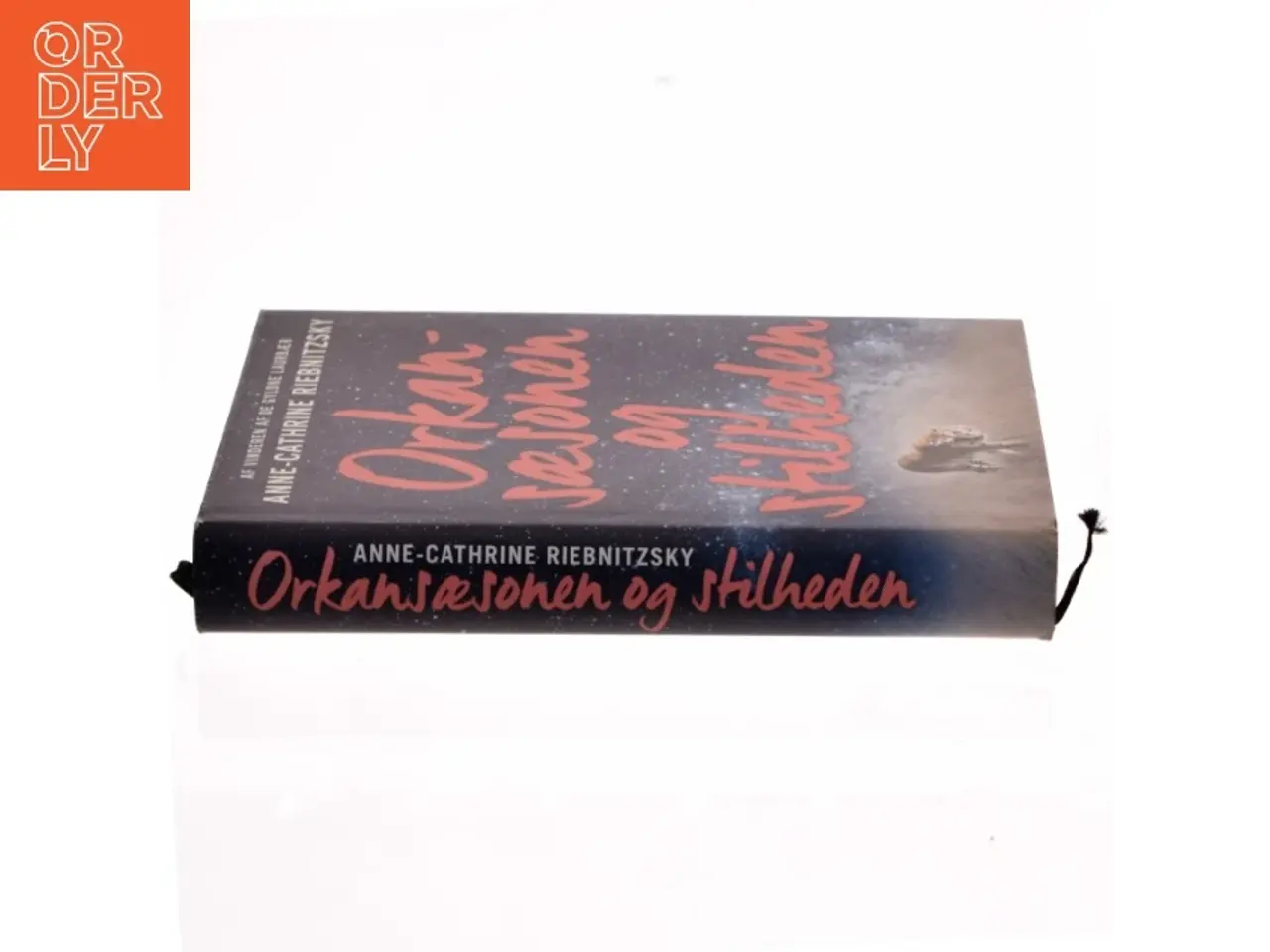 Billede 2 - Orkansæsonen og stilheden : roman af Anne-Cathrine Riebnitzsky (Bog)