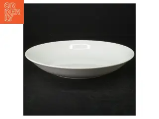Hvide porcelænstallerkener (str. Ø. 22 cm)