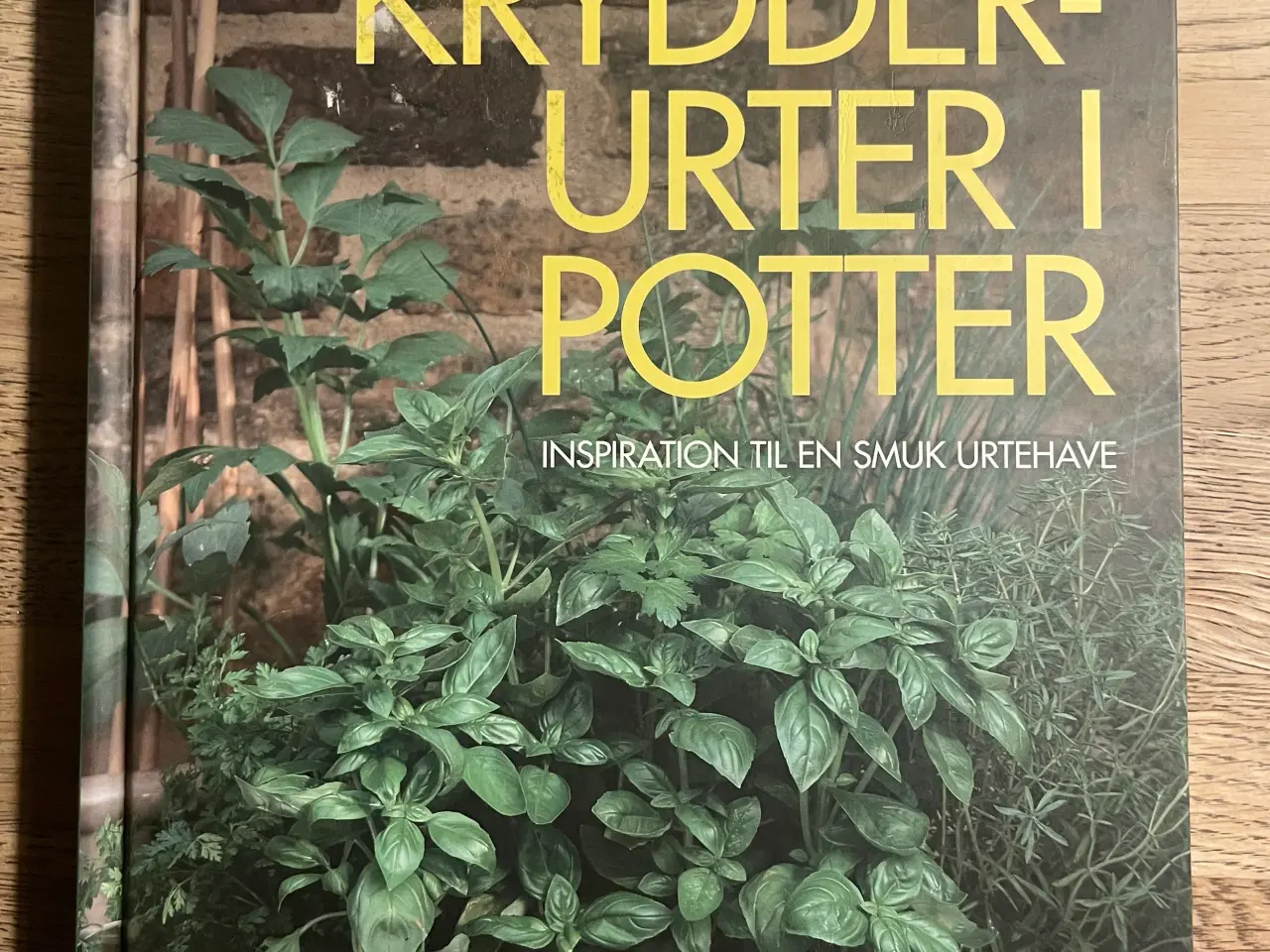Billede 1 - Krydderurter i potter, Deborah Schneebeli-Morrell