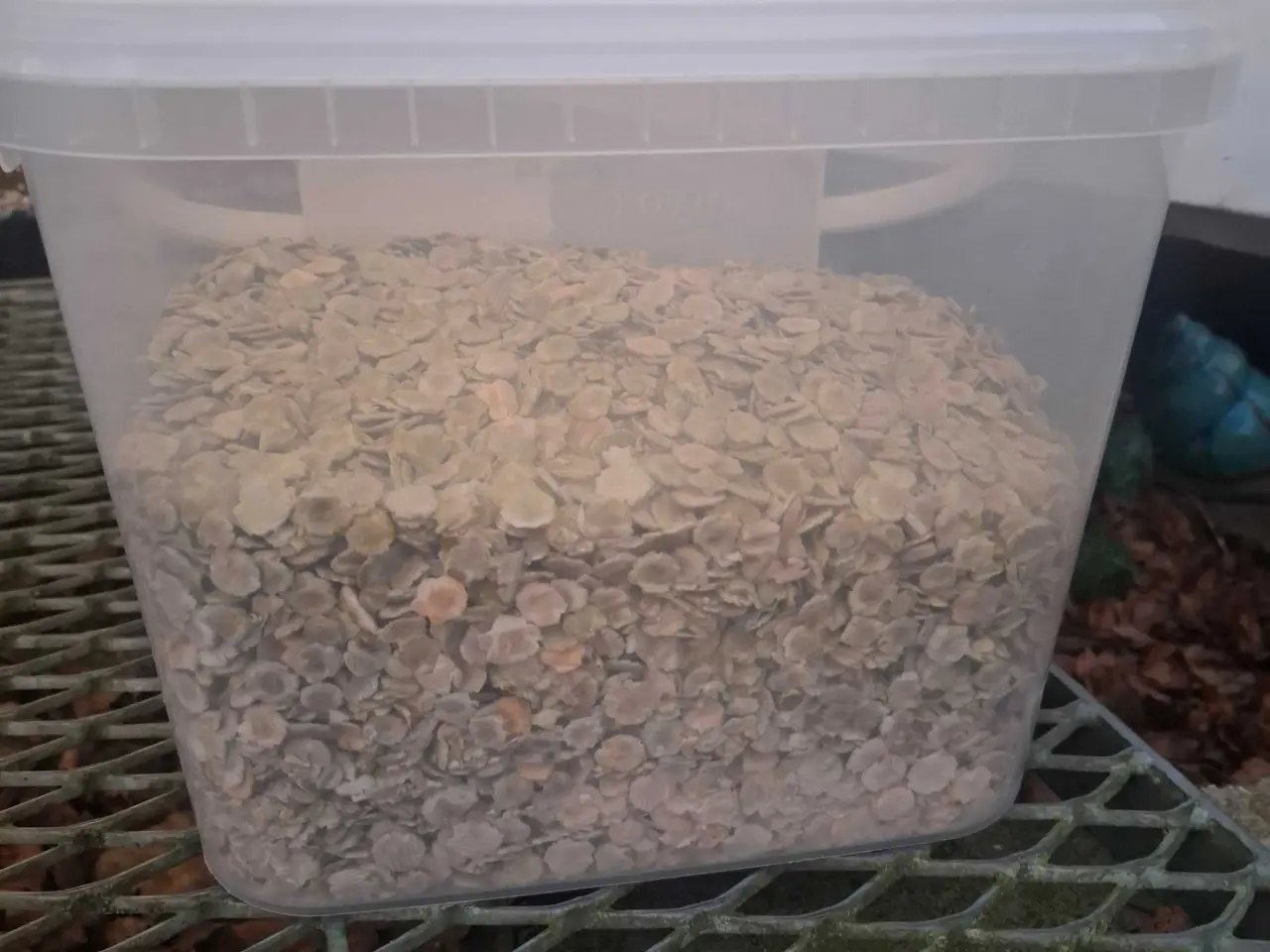 Billede 3 - Kanin mad, godbidder 