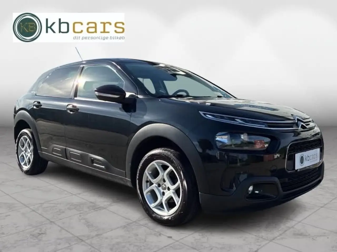 Billede 8 - Citroën C4 Cactus 1,5 BlueHDi 100 SkyLine Van