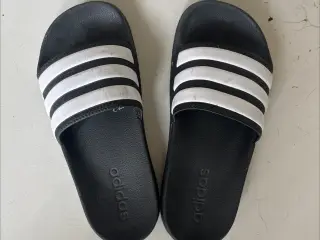 Adidas størrelse 37