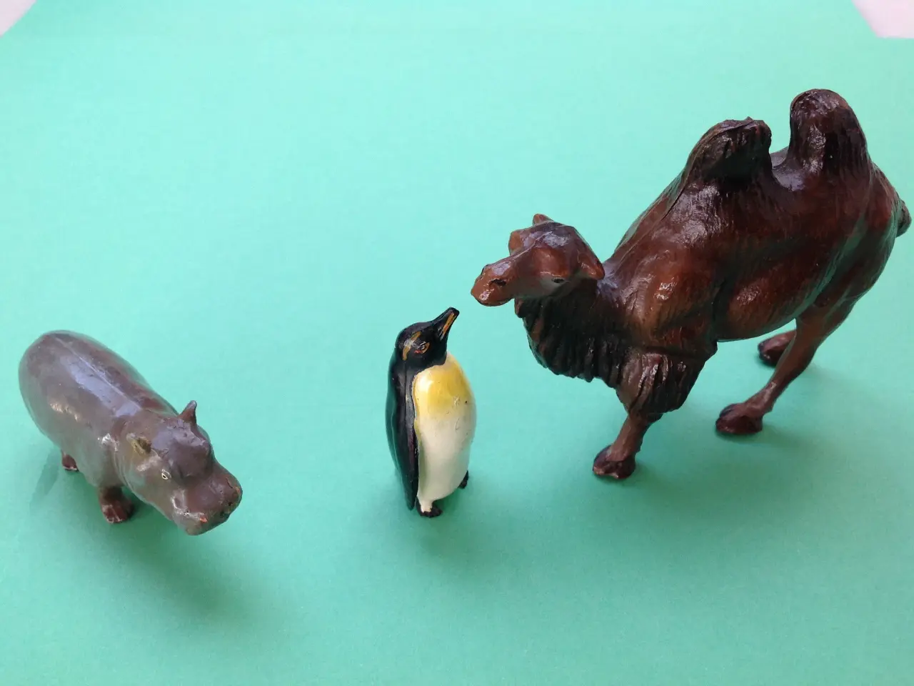 Billede 8 - Spændende zoologiske dyr.
