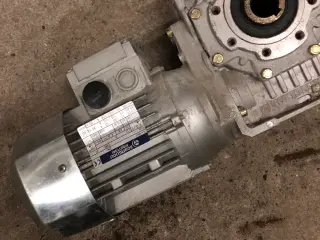 Gear motor