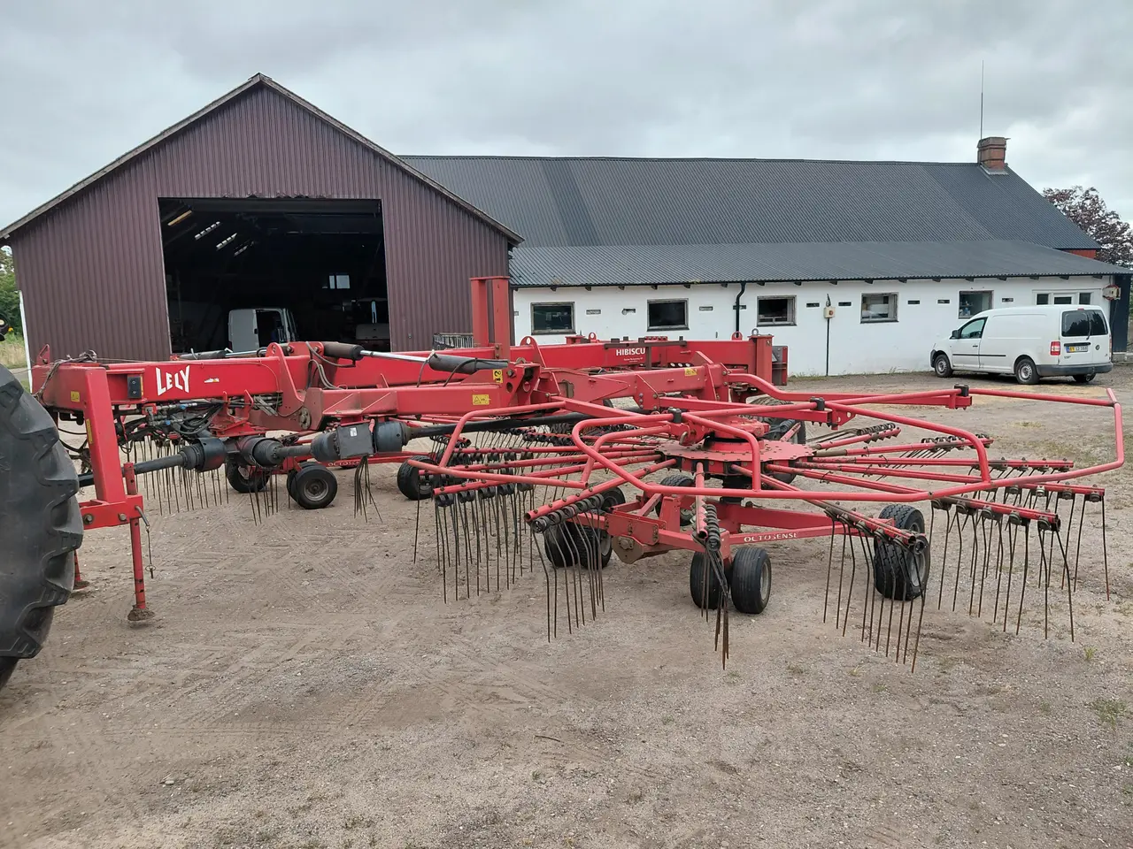 Billede 3 - Lely hibiscus 1015