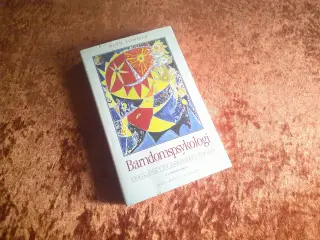Barndomspsykologi, Dion B. Sommer,