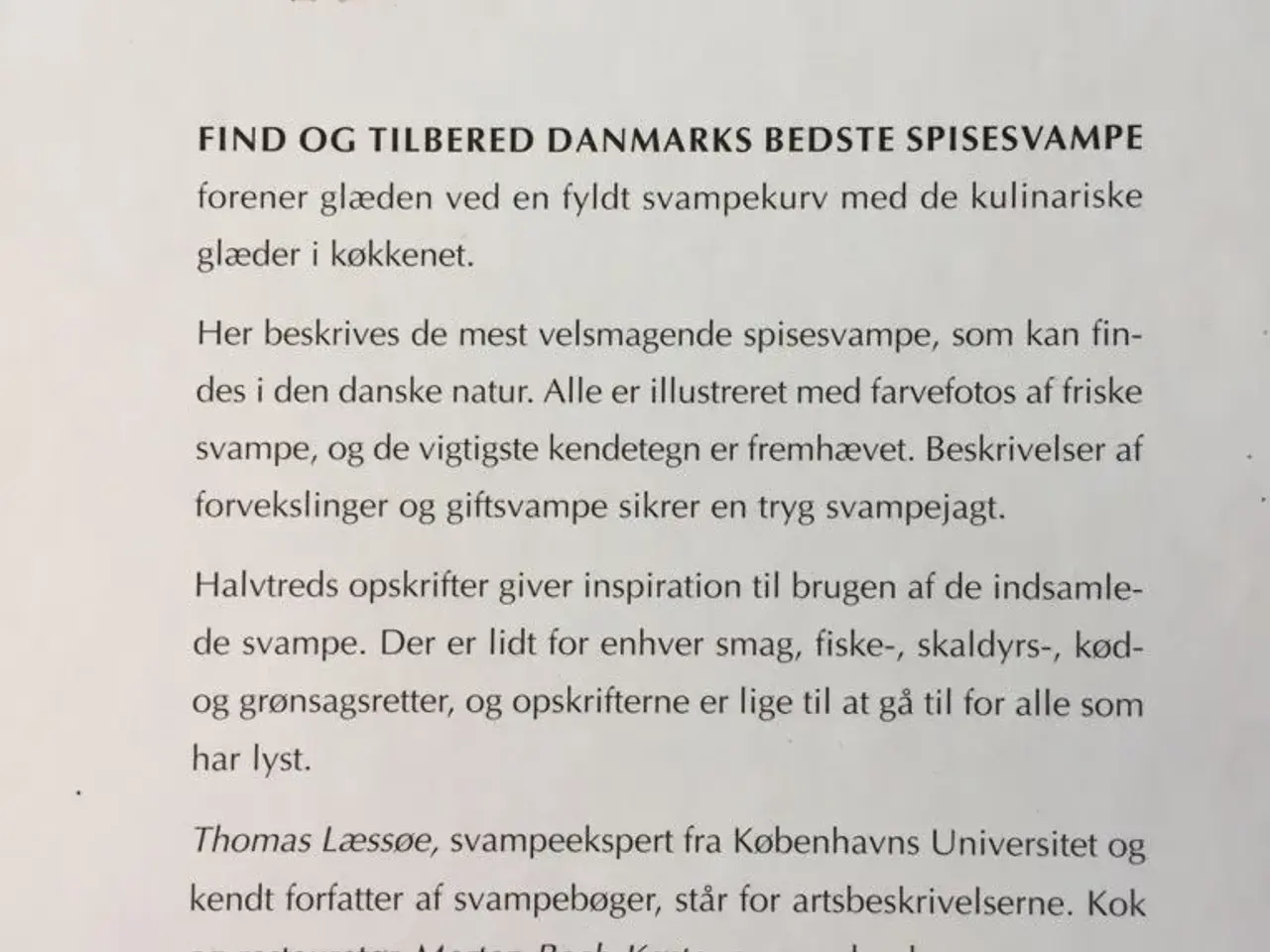 Billede 2 - Danmarks bedste SPISESVAMPE
