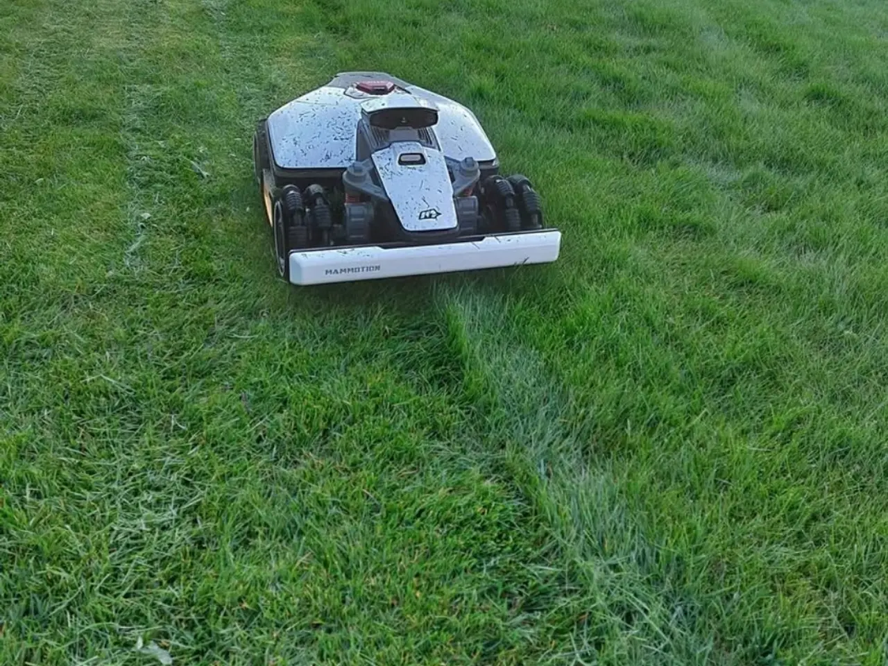 Billede 1 - Robotplæneklipper Mammotion