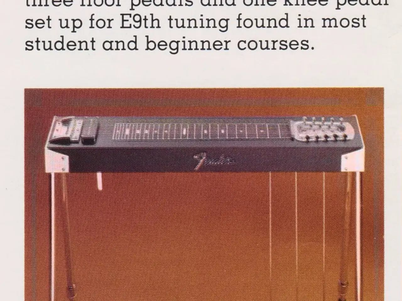 Billede 3 - Pedal Steel Guitar KØBES