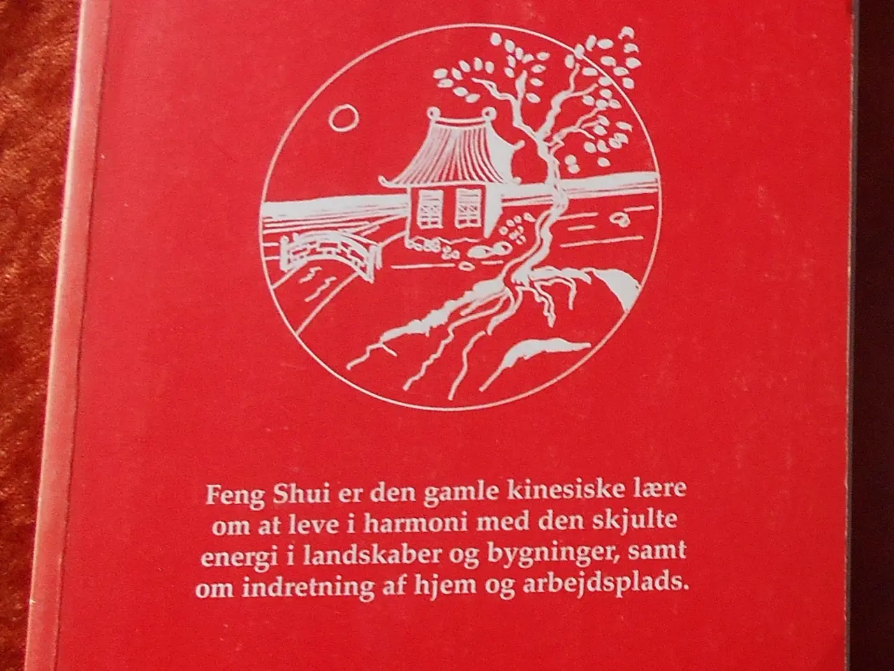Billede 2 - Feng shui, Man-Ho Kwok m.fl.
