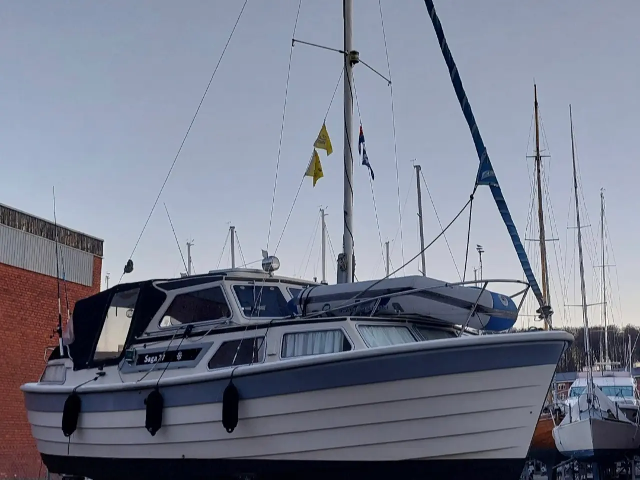 Billede 7 - Saga 27 sjældent velplejet eksemplar