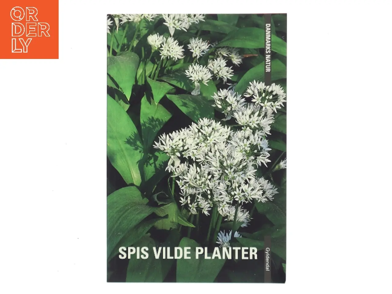 Billede 1 - Spis vilde planter af Edith Agerbo (Bog)