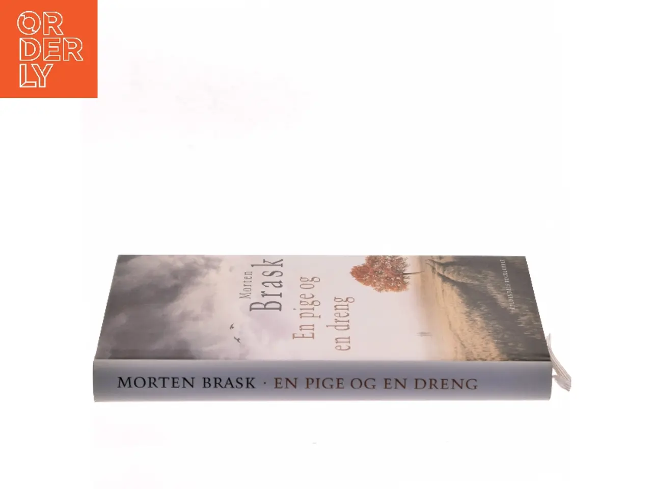 Billede 2 - En pige og en dreng af Morten Brask (Bog)