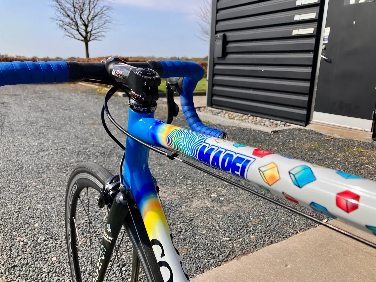 Billede 2 - Colnago C 40 – Mapei