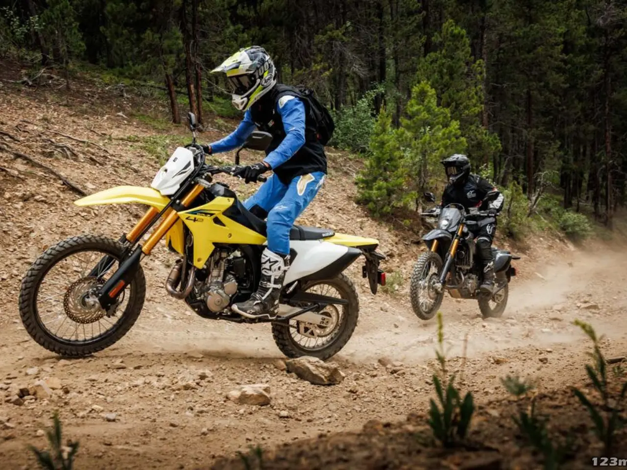 Billede 11 - Suzuki DR-Z4S