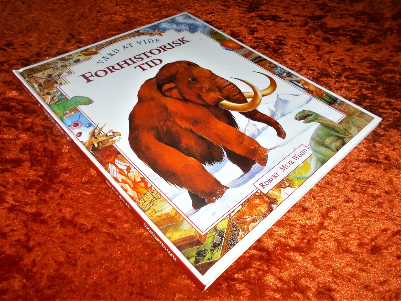 Billede 1 - Forhistorisk tid, Robert Muir Wood,