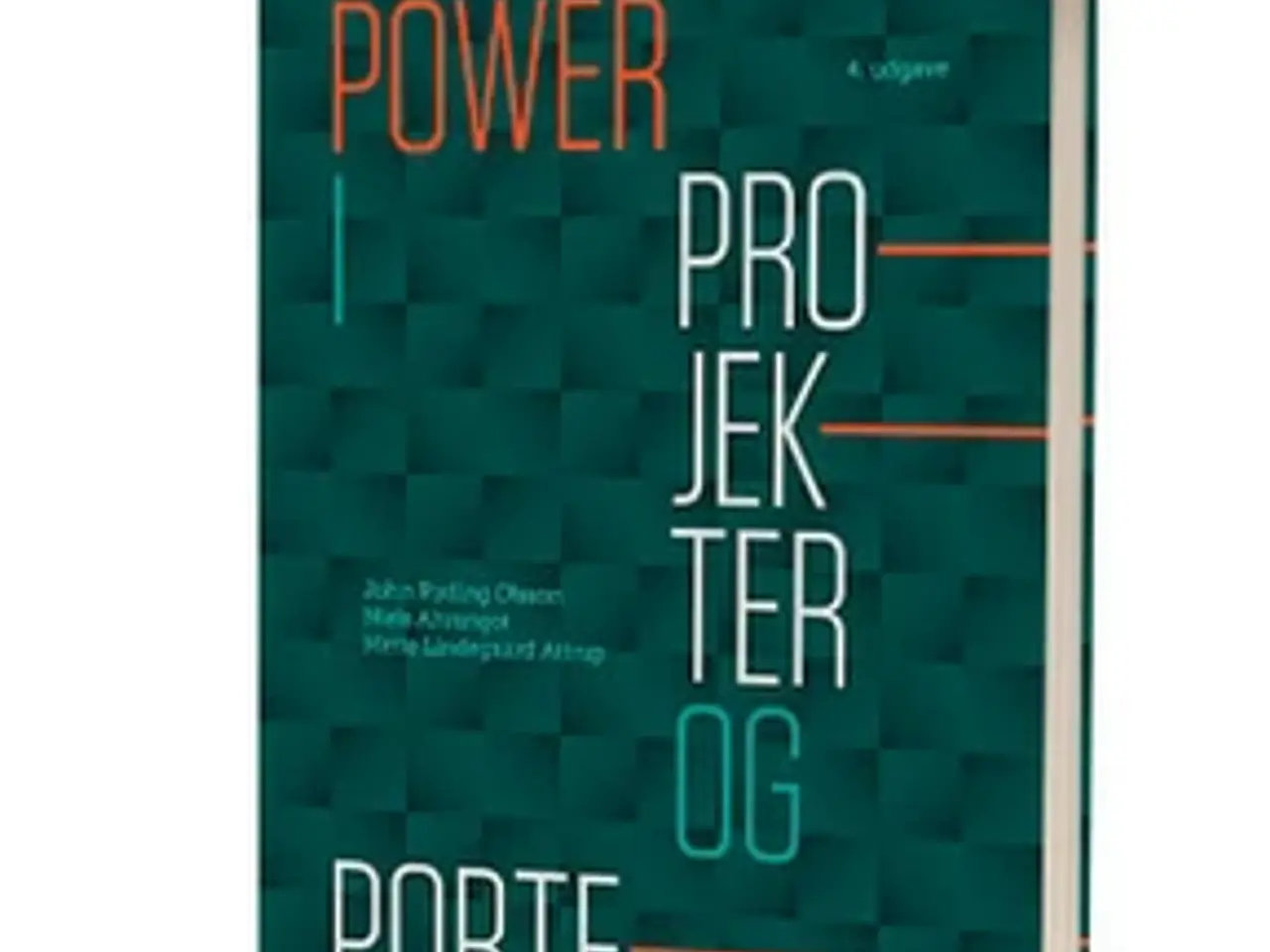 Billede 1 - Powerprojekter og Portefølje 4. udgave