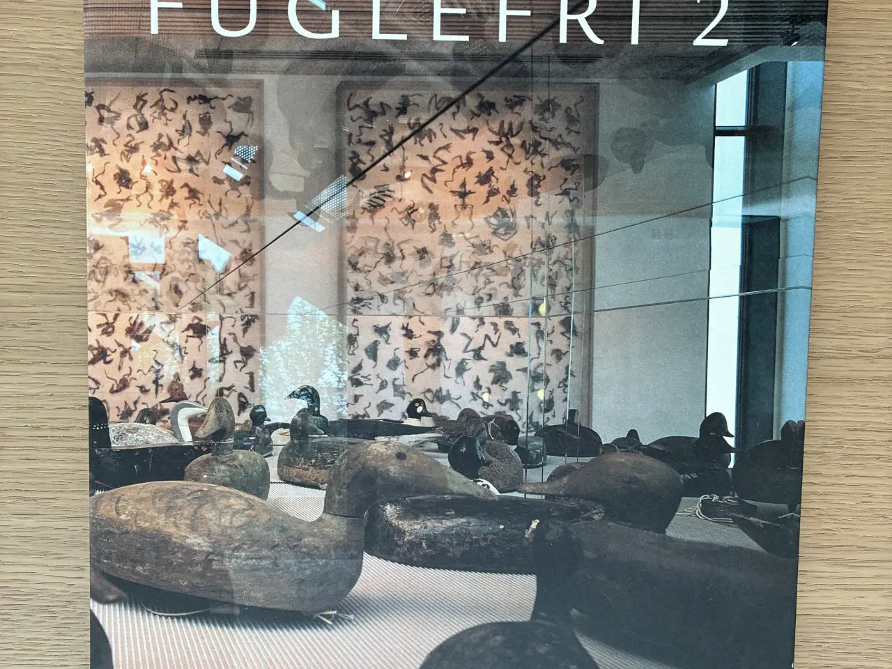 Billede 1 - Fuglefri 2