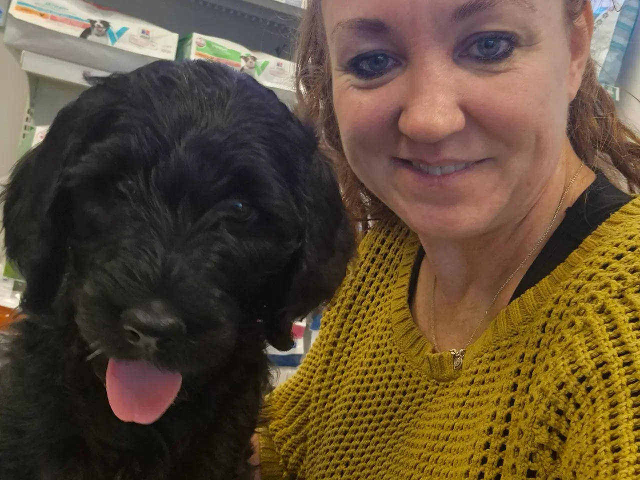 Billede 12 - F1B Labradoodle 