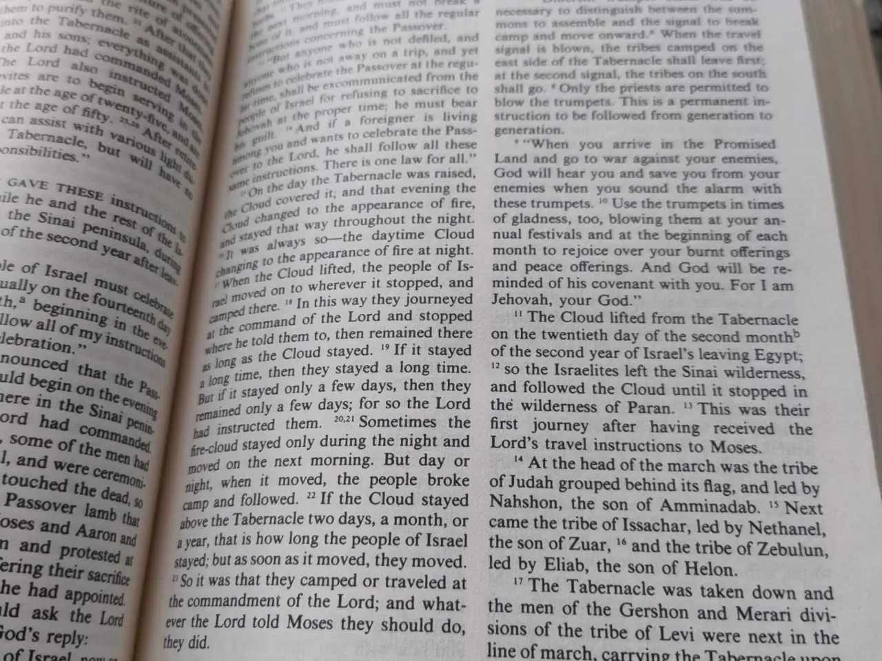 Billede 3 - The living bible 