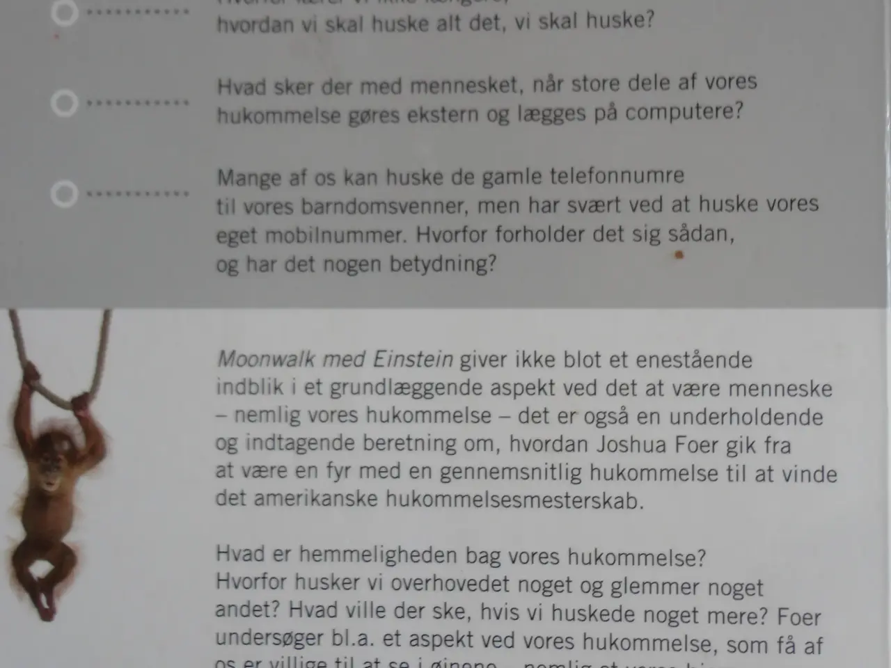 Billede 4 - Moonwalk med Einstein :