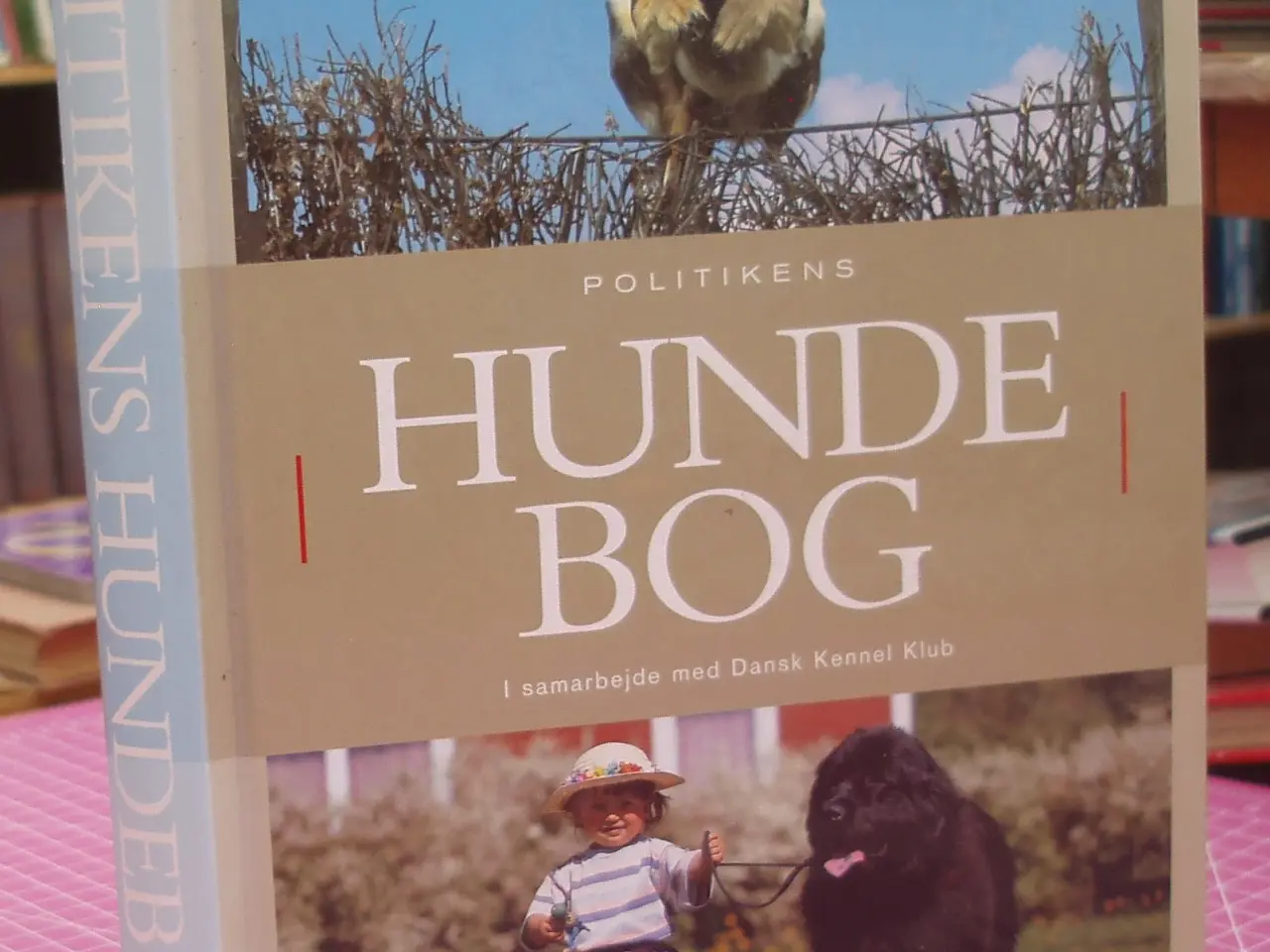 Billede 1 - Politikens Hundebog i samarbejde med DKK