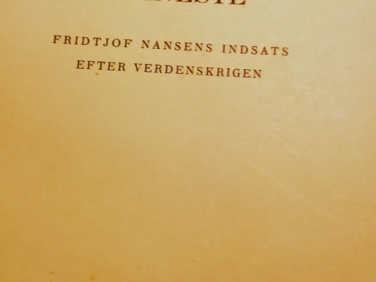 Billede 1 - Jens Marinus Jensen: I Folkeforbundets tjeneste.