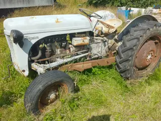 Ferguson 31 veteran