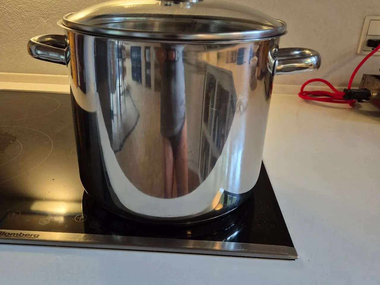 Billede 1 - 10 L gryde