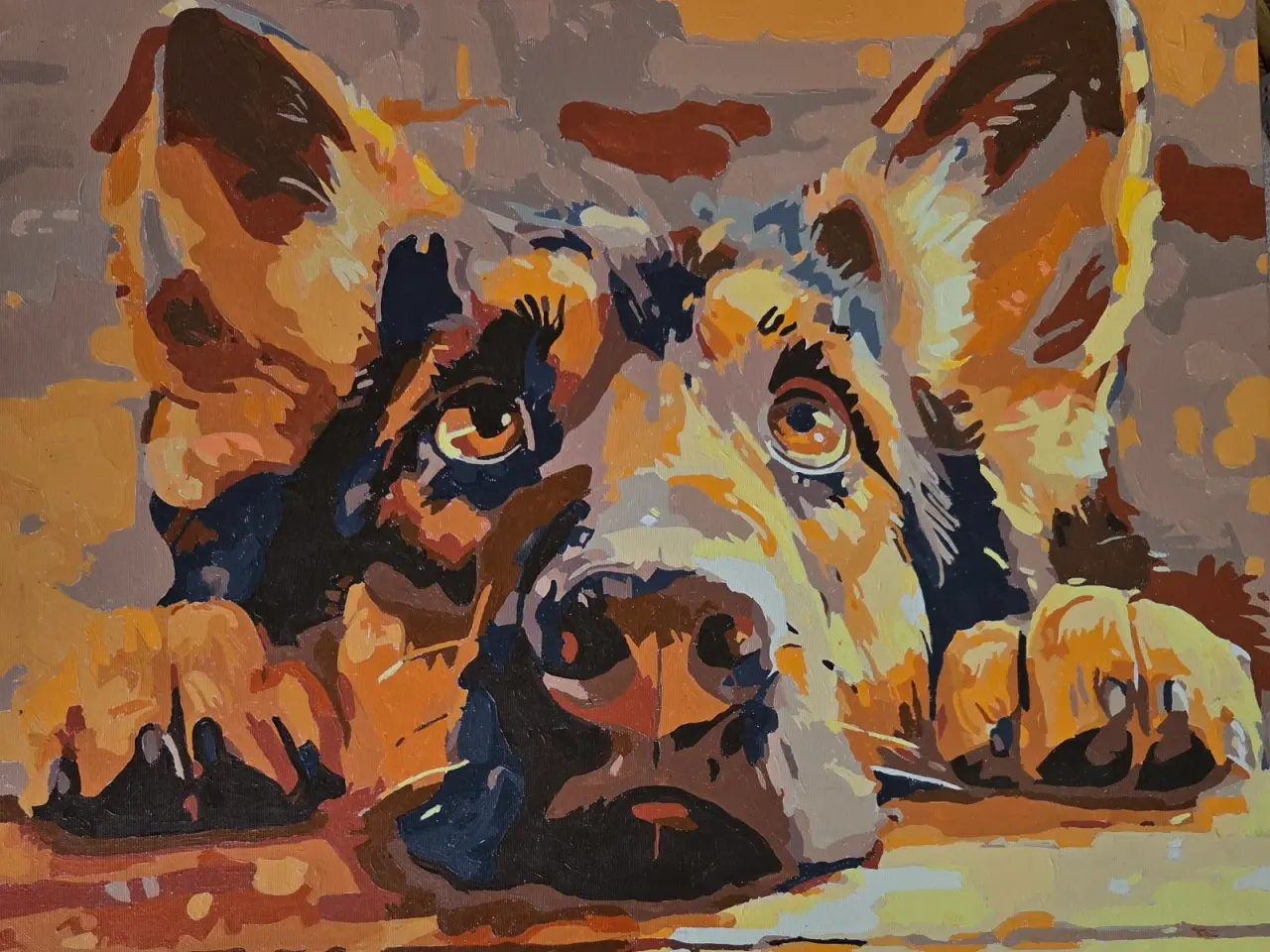 Billede 1 - Schæferhund 40x50