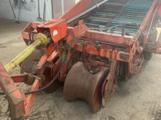Grimme frilægger 