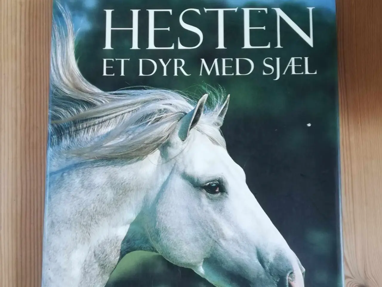 Billede 1 - Hestebøger - fagbøger