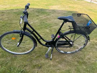 2 voksne velholdte cykler 