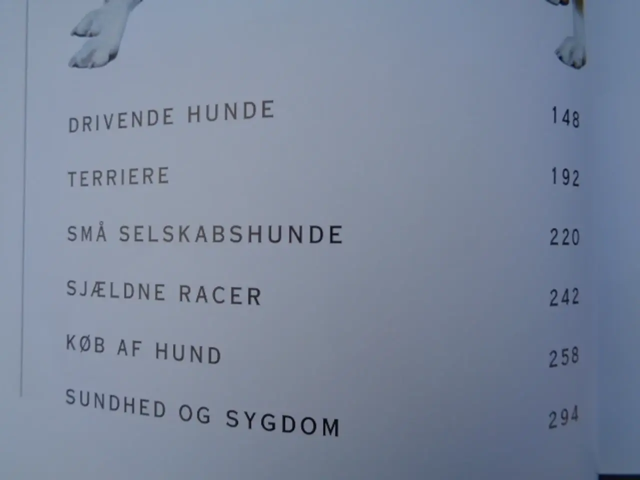 Billede 9 - Hunde