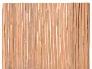 Bambushegn 100 x 400 cm