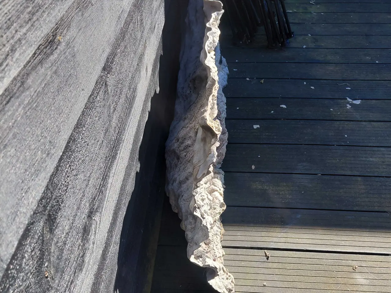 Billede 6 - 3d baggrundsfilter 