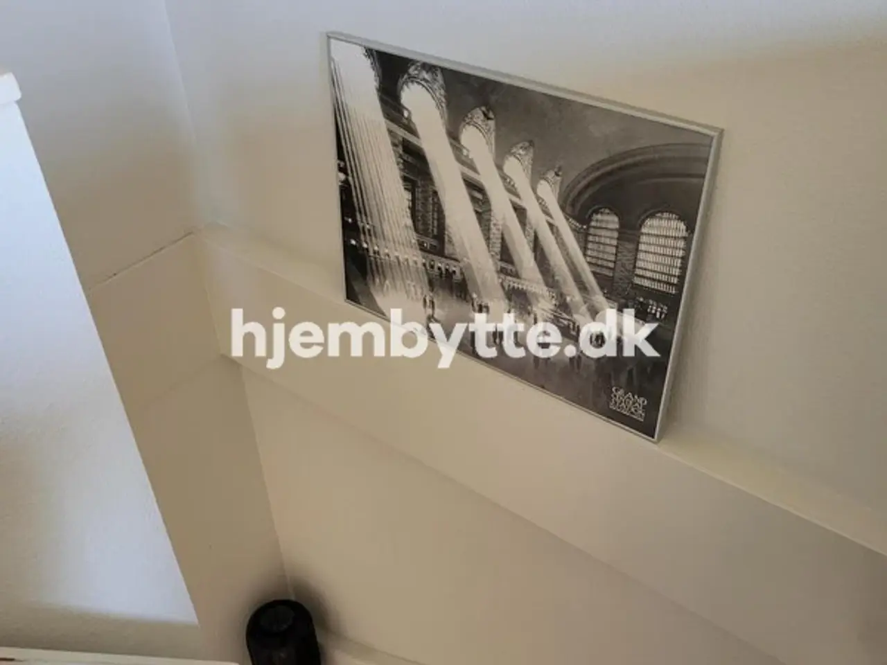 Billede 11 - Hjembytte - Enebærhegnet