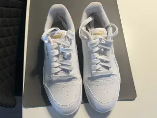 Kondisko Puma