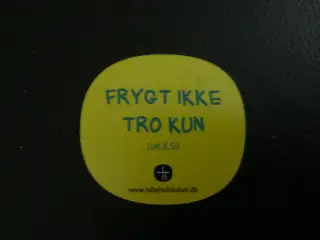 Magnet - frygt ikke, tro kun
