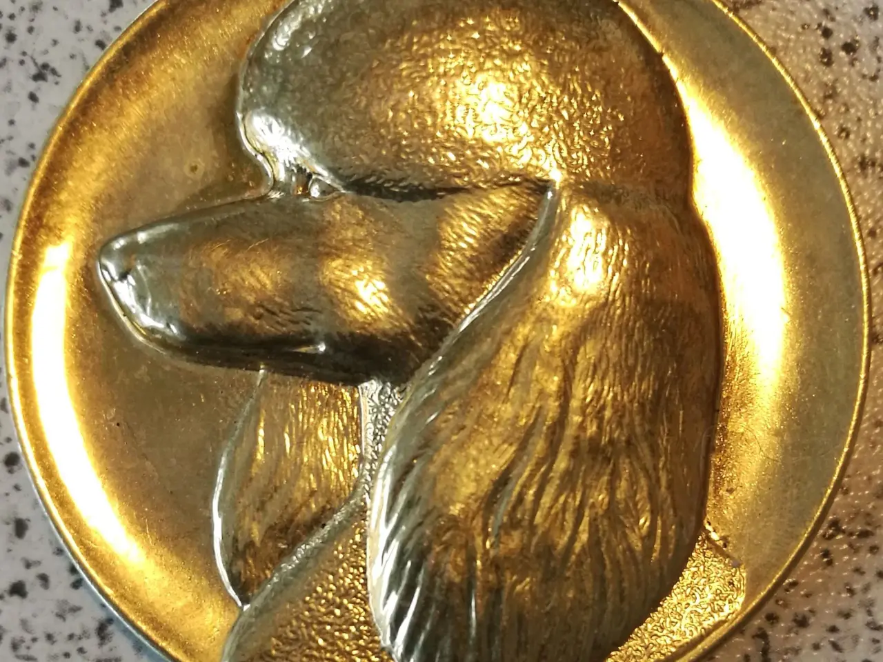 Billede 4 - Hunde medaljer.