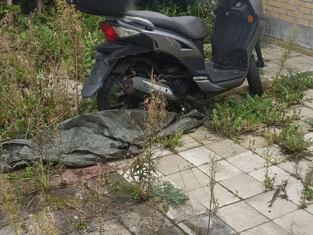 Billede 1 - Sym scooter