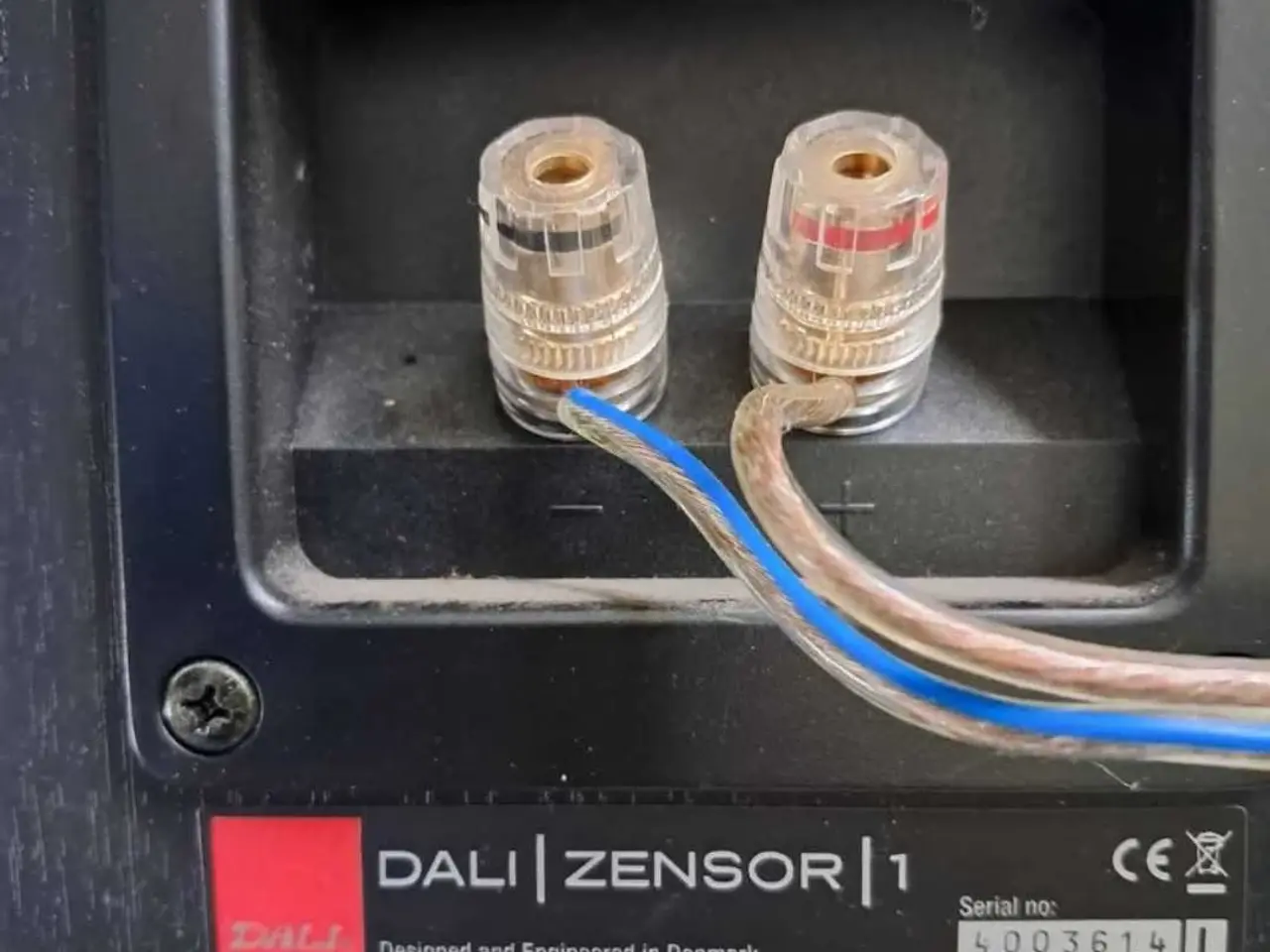 Billede 2 - Dali zensor 1
