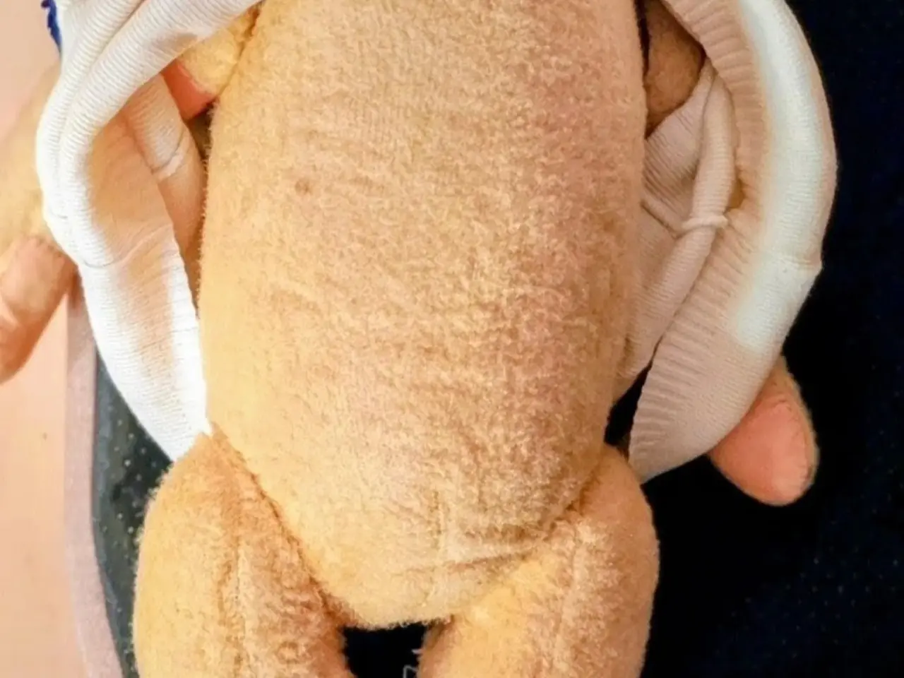Billede 3 - Stor Gammel Bamse