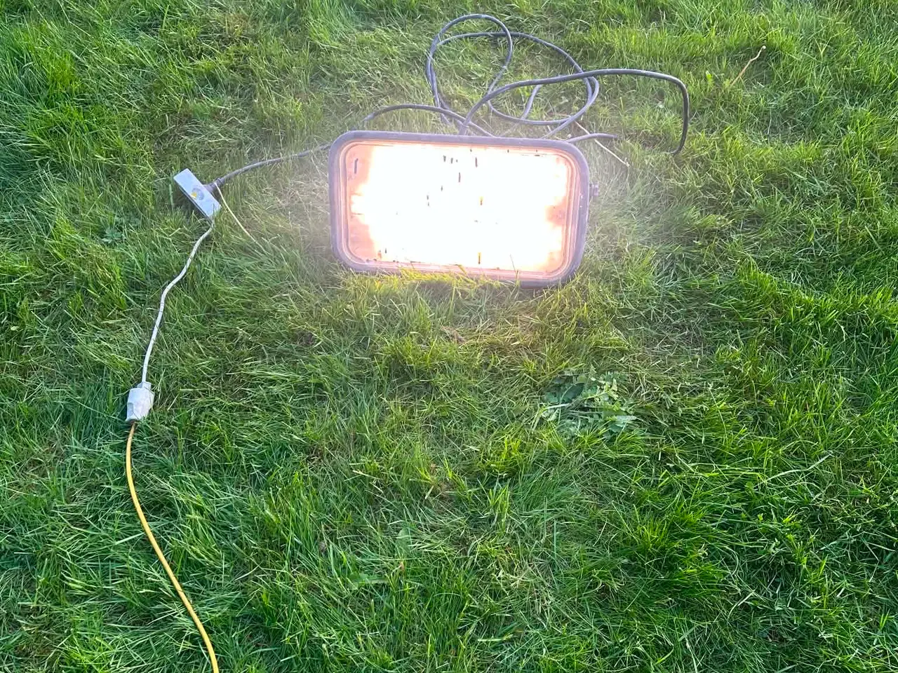 Billede 1 - Wexim arbejdslampe, 3 x 36w