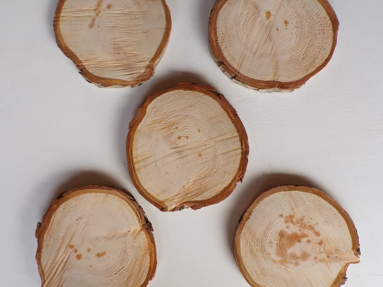 Billede 3 - 5 NYE Thuja Træskiver med bark 16,5 - 18 cm