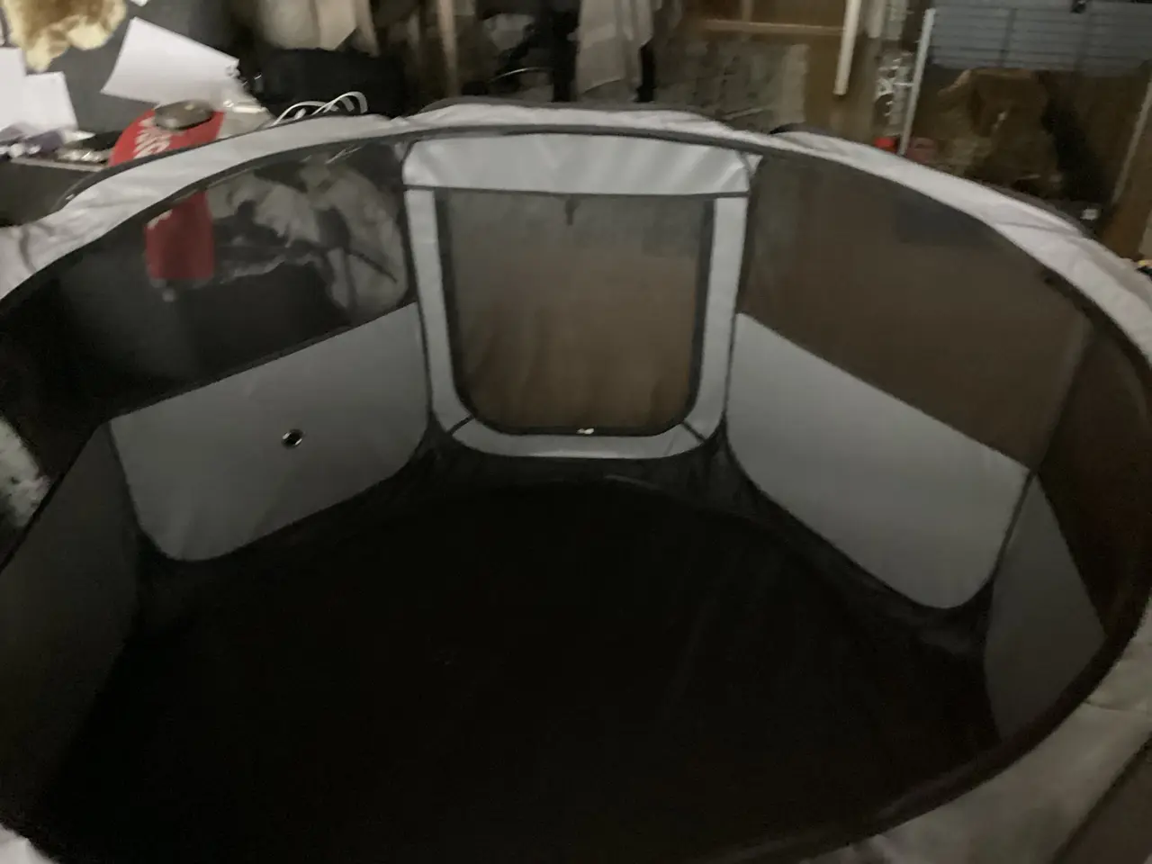 Billede 6 - Hvalpegård 143 ø og 76 cm høj