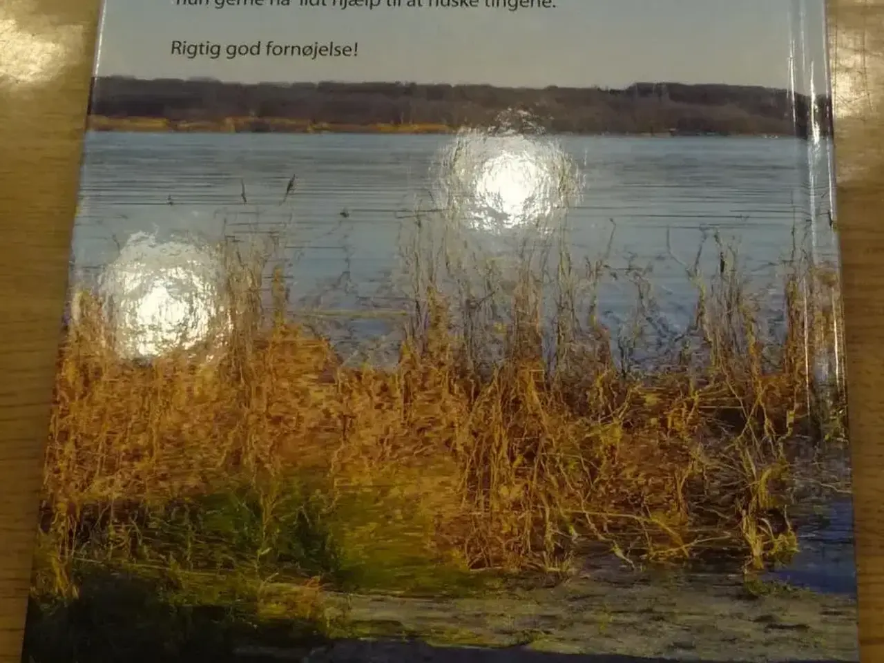 Billede 2 - Med far på fisketur ved stranden